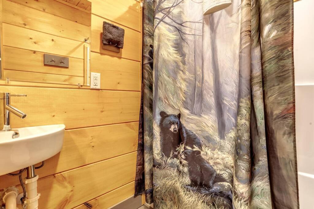 Dancing Bear Cabin- Relax & Enjoy! Sevierville Buitenkant foto