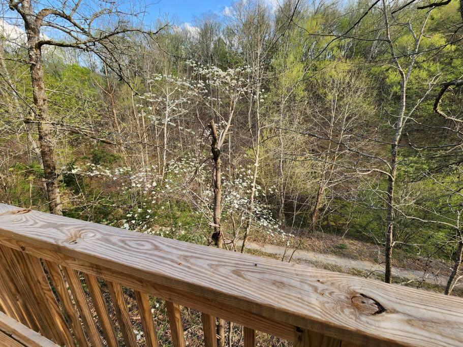 Dancing Bear Cabin- Relax & Enjoy! Sevierville Buitenkant foto
