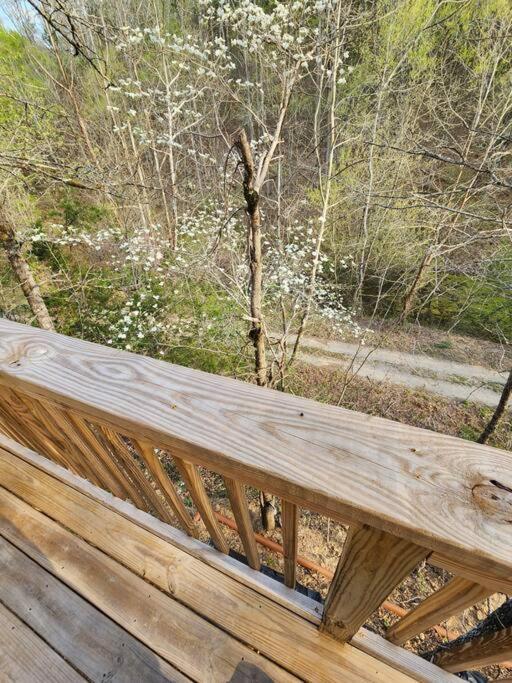 Dancing Bear Cabin- Relax & Enjoy! Sevierville Buitenkant foto